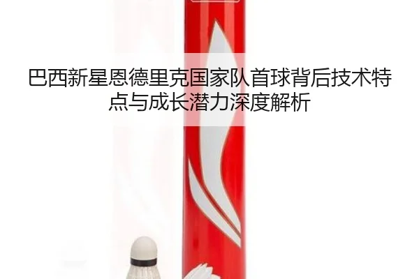 ba-xi-xin-xing-en-de-li-ke-guo-jia-dui-shou-qiu-bei-hou-ji-shu-te-dian-yu-cheng-zhang-qian-li-shen-du-jie-xi-2-995.jpg